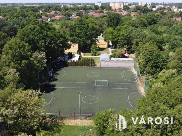 Békéscsabai paradicsom