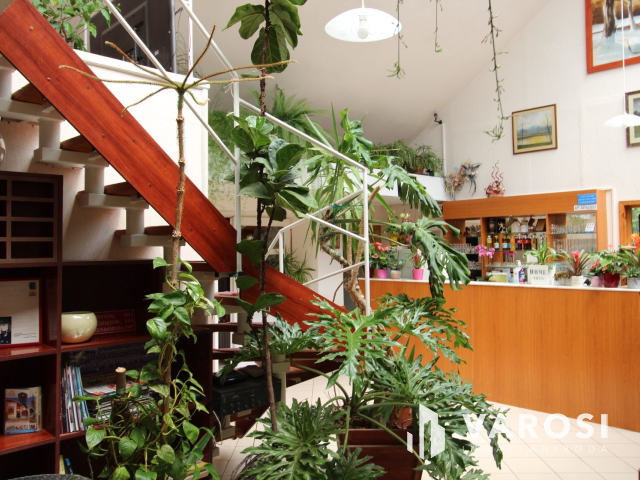 Békéscsabai paradicsom