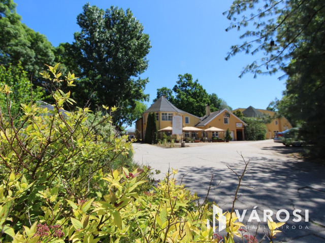 Békéscsabai paradicsom