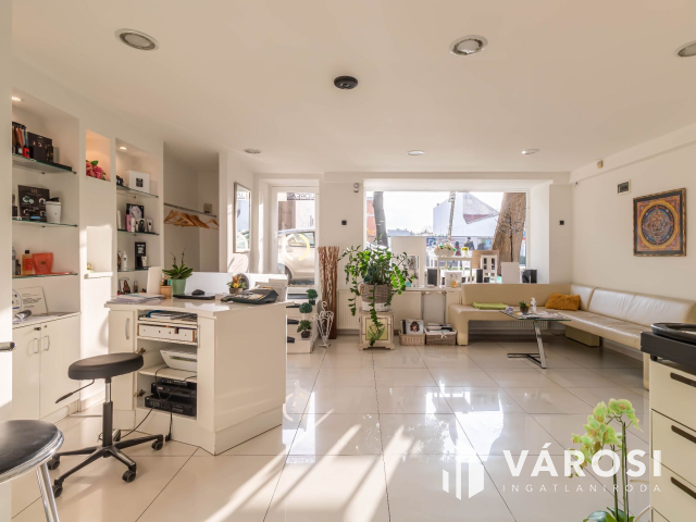 Polgári jellegű magánház Szeged belvárosában