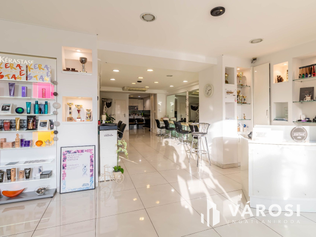 Polgári jellegű magánház Szeged belvárosában