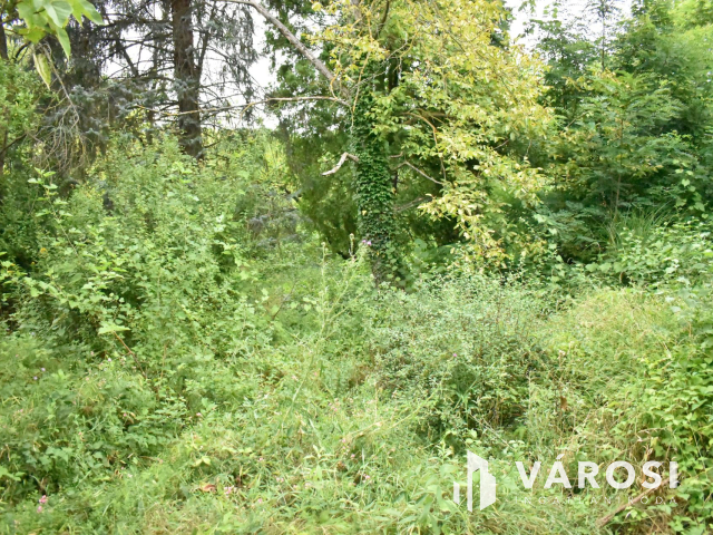 4229 m2-es összközműves építési telek fürdő ővezetben!