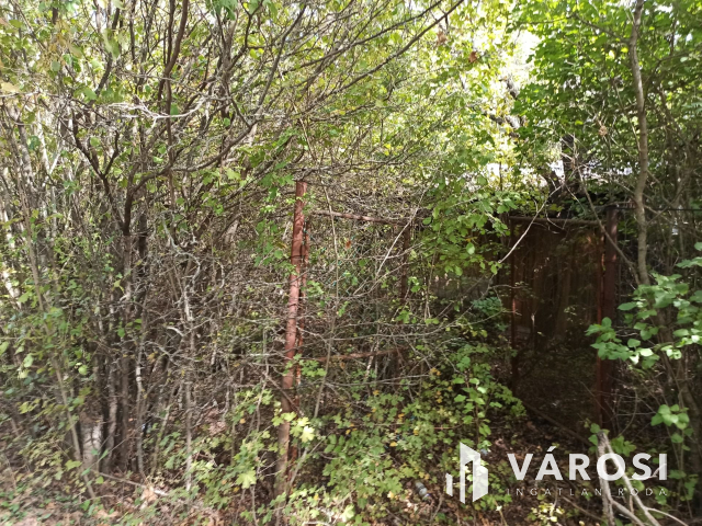 Nyaralónak tökéletes választás Dunabogdányban!