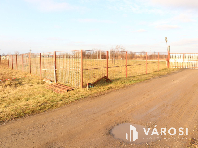 Szeged mellett Algyőn, 8 hektár ipari terület!