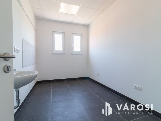 ÚJ ÉPÍTÉSŰ IPARI INGATLAN DABASON KIADÓ