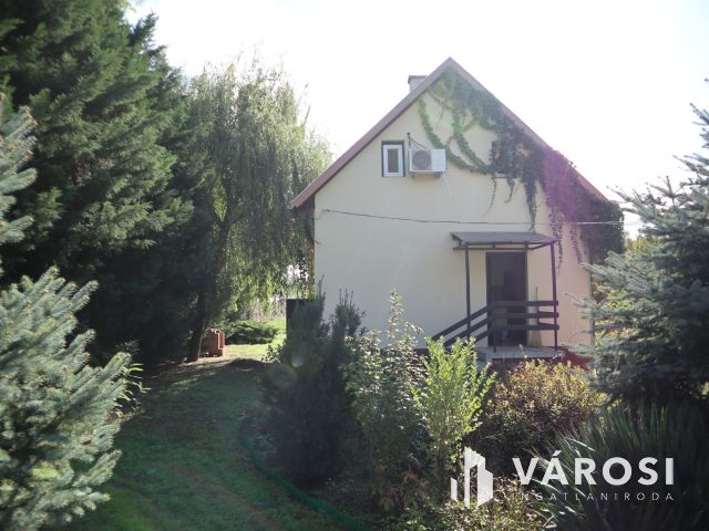 Szatymazi családi ház erdővel!