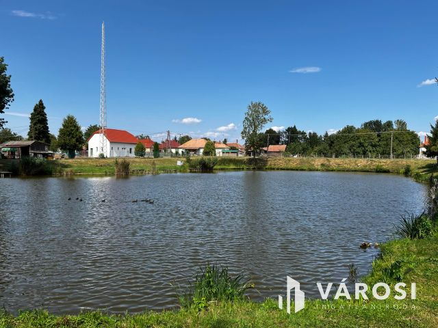 Simaság működő belterületi horgásztó,engedélyekkel6000m2