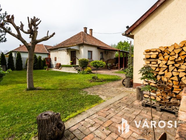 Praktikus elrendezésű ház parkosított kerttel a belvárosban