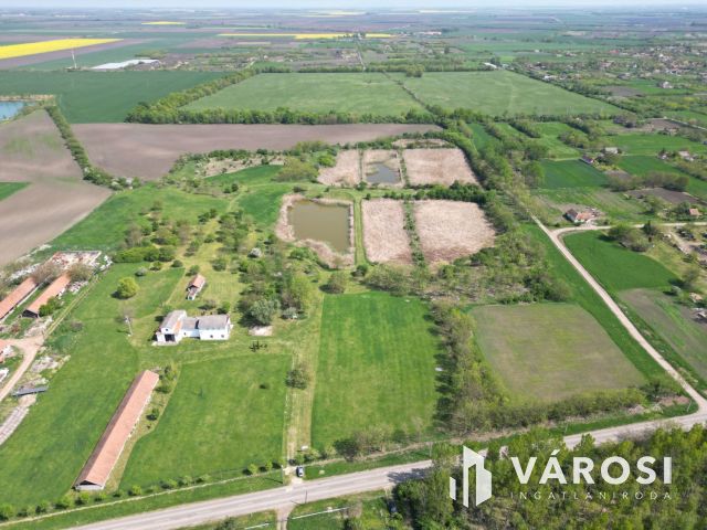 Eladó „hacienda”  Battonyán