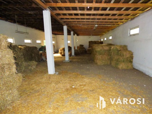 Ipari csarnok eladó egyedi hitelkonstrukcióval is!