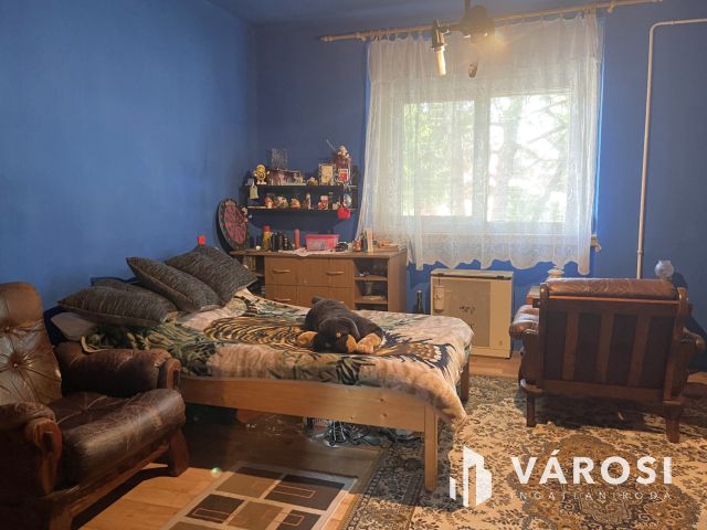 Kis ház nagy kerttel