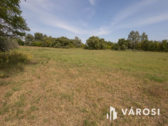 Teljesen felújított tanya nagy területtel és vízparttal