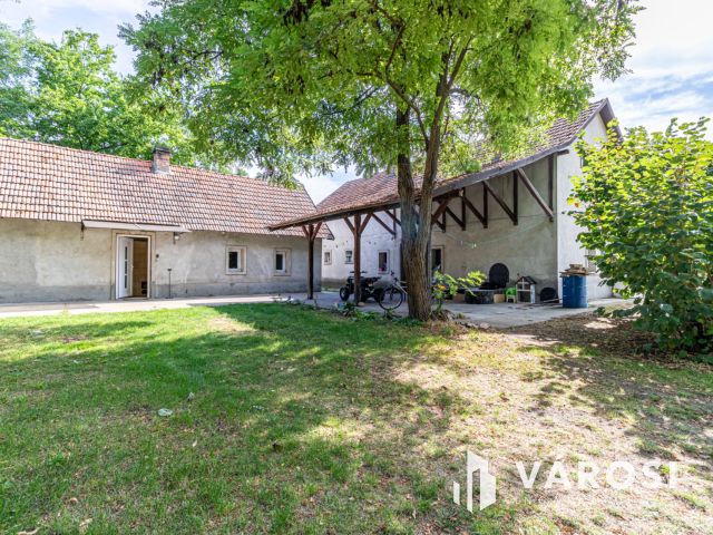 Gazdálkodásra, állattartásra alkalmas Ásotthalmi birtok