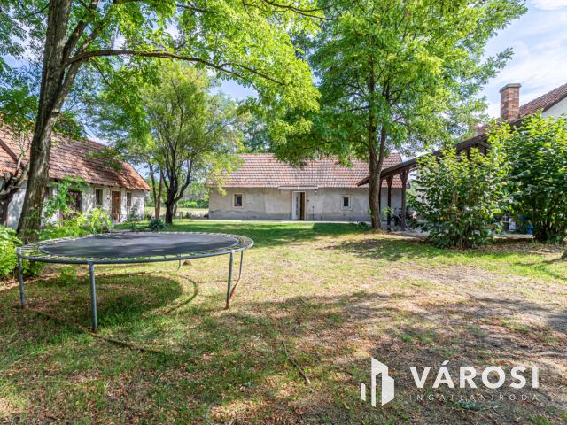 Gazdálkodásra, állattartásra alkalmas Ásotthalmi birtok