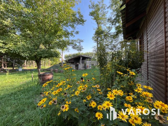 Debreceni 7,5 hektáros tanyagazdaság, csodás környezetben!!!