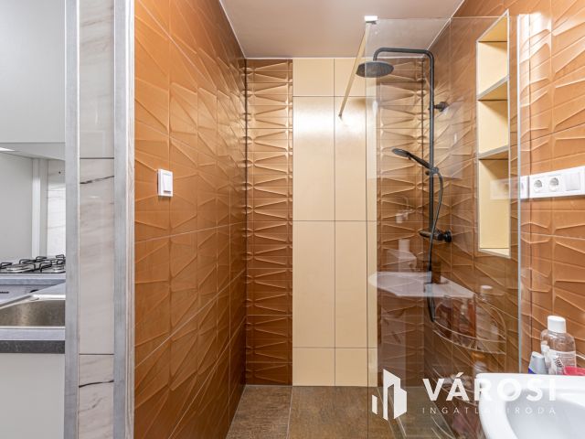 Domaszéki többgenerációs otthon vagy befektetési lehetőség