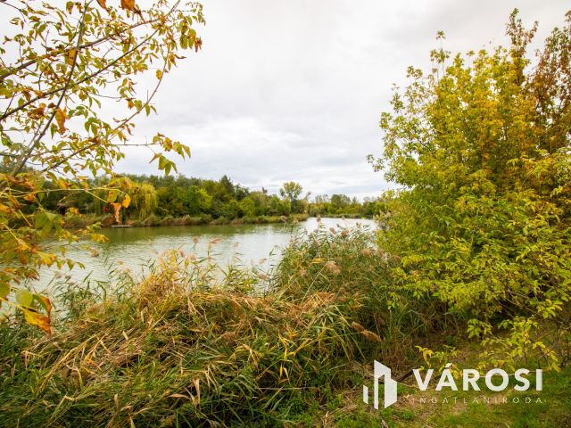 Telek a Liget Gyógyfürdő és a holtág vonzásában