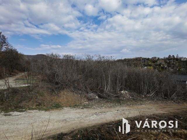 Örökpanorámás telek