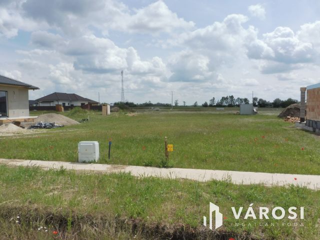 Deszk,Szőlőskerti lehetőség,később ki tudja.