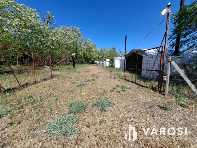 Baromfi telep 3,5 hektár területtel és sok lehetőséggel